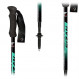 Bâtons Fizan Compact 4 Vert / Water Green