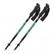Bâtons Fizan Compact 4 Vert / Water Green