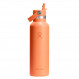 Hydro Flask Standard Mouth with Flex Straw Cap 621 ml