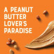 Clif Nut Butter Bar Bio Peanut Butter