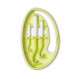 Crochet Tire-Tiques ClipBox Tick Twister Vert