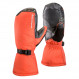 Black Diamond Absolute Mitts