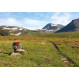 Guide Norvège du Nord : Cicerone Hiking in Norway - North