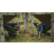 Lesovik Draka Hammock