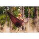Lesovik Bystry Hammock