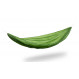 Lesovik Duch Hammock