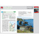 Guide de randonnée Islande - Rother