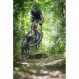 Inlandsis Bikejor Leash