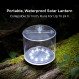 Luci Original Clear