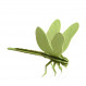 Libellule en bois Lovi Dragonfly