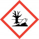 SGH09 - Environnement : Dangereux pour l'environnement