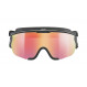 Julbo Sniper Evo Reactiv Cat.1-3