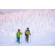 Skis Raquettes OAC Skinbased