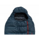 Patizon R600