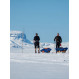 Skis Madshus Panorama SF 62