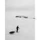 Skis Madshus Panorama SF 62