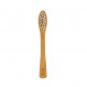 Sloé Mini brosse à dent en bois de hêtre