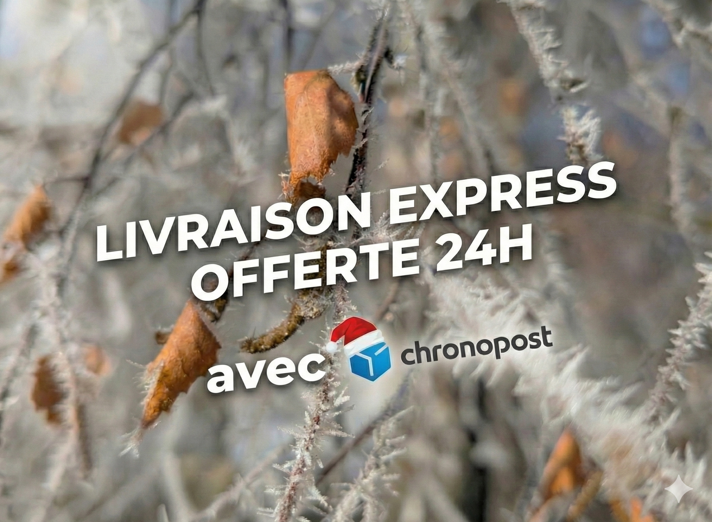 frais de port offert