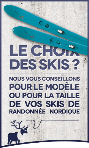 Comment choisir vos skis de randonnée nordique ?
